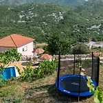 Ankica With Heated Pool Vila Cavtat