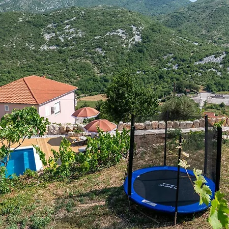 Ankica With Heated Pool Vila Cavtat